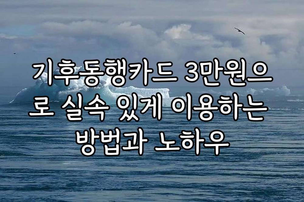 기후동행카드 3만원으로 실속 있게 이용하는 방법과 노하우
