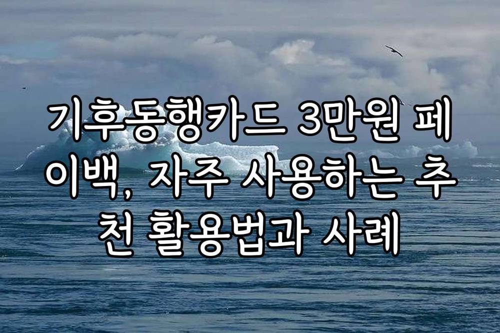 기후동행카드 3만원 페이백, 자주 사용하는 추천 활용법과 사례