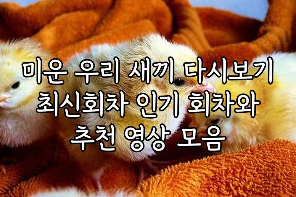 미운 우리 새끼 다시보기 최신회차 인기 회차와 추천 영상 모음