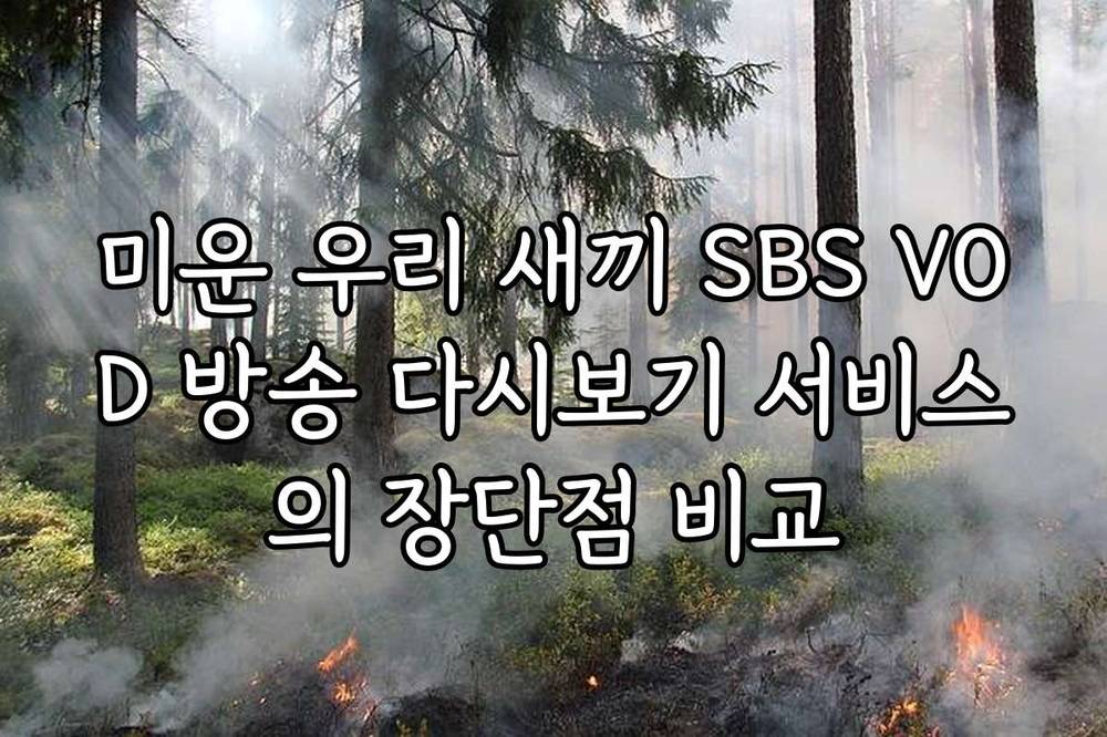 미운 우리 새끼 SBS VOD 방송 다시보기 서비스의 장단점 비교