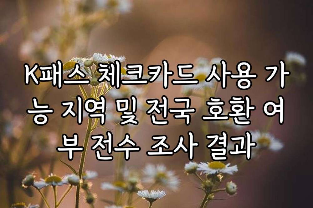 K패스 체크카드 사용 가능 지역 및 전국 호환 여부 전수 조사 결과