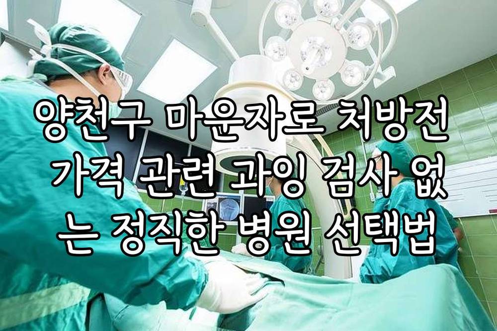 양천구 마운자로 처방전 가격 관련 과잉 검사 없는 정직한 병원 선택법