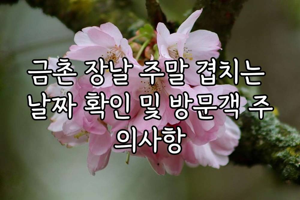 금촌 장날 주말 겹치는 날짜 확인 및 방문객 주의사항