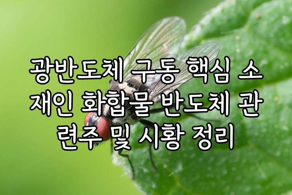 광반도체 구동 핵심 소재인 화합물 반도체 관련주 및 시황 정리