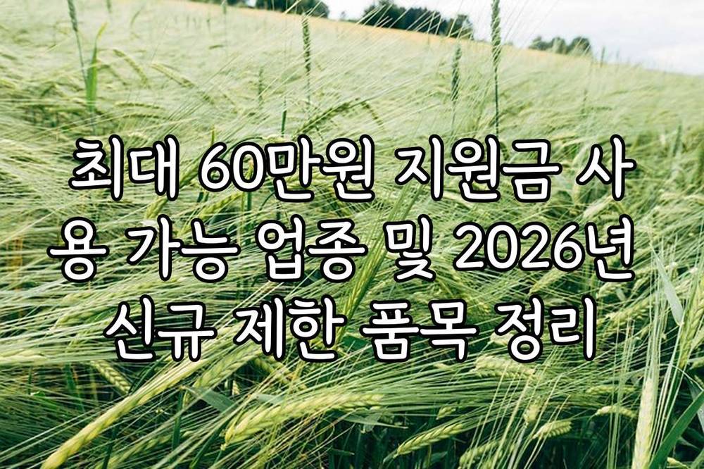 최대 60만원 지원금 사용 가능 업종 및 2026년 신규 제한 품목 정리