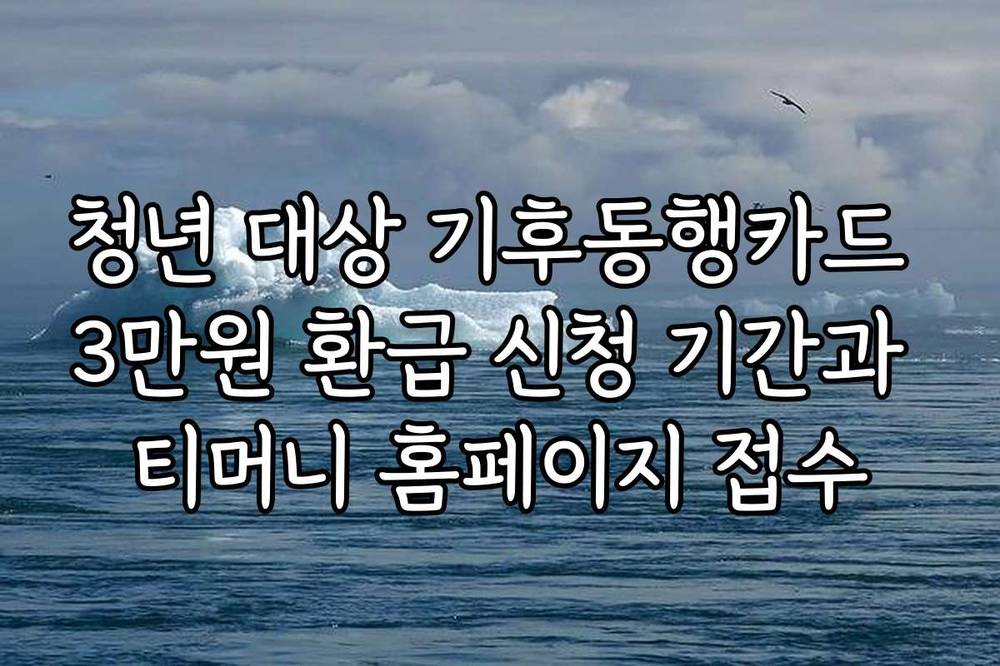 청년 대상 기후동행카드 3만원 환급 신청 기간과 티머니 홈페이지 접수