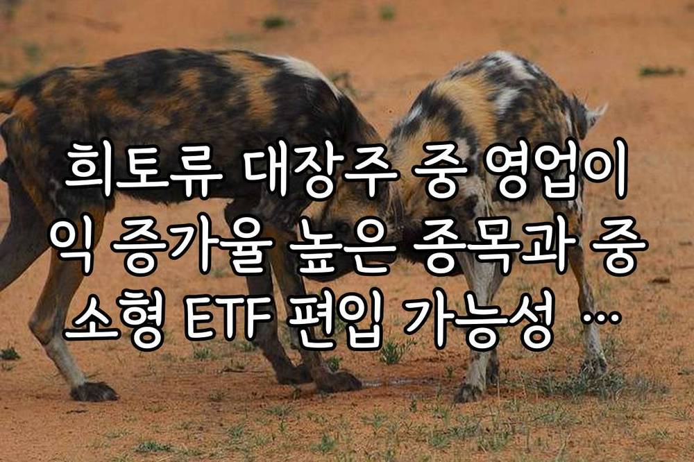 희토류 대장주 중 영업이익 증가율 높은 종목과 중소형 ETF 편입 가능성 정리