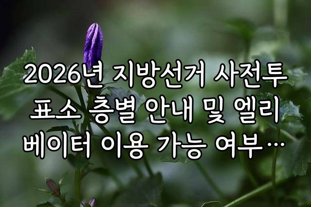 2026년 지방선거 사전투표소 층별 안내 및 엘리베이터 이용 가능 여부 확인