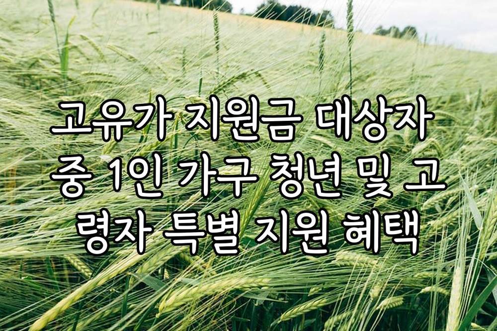 고유가 지원금 대상자 중 1인 가구 청년 및 고령자 특별 지원 혜택