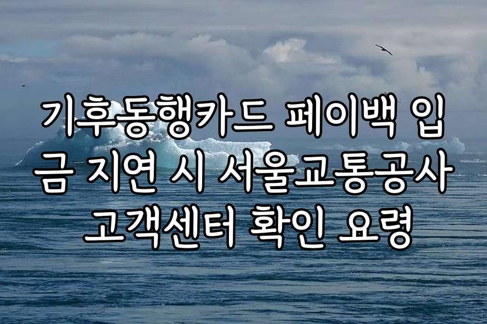 기후동행카드 페이백 입금 지연 시 서울교통공사 고객센터 확인 요령