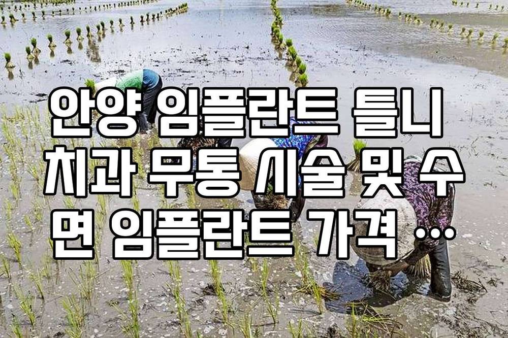 안양 임플란트 틀니 치과 무통 시술 및 수면 임플란트 가격 추가 가이드