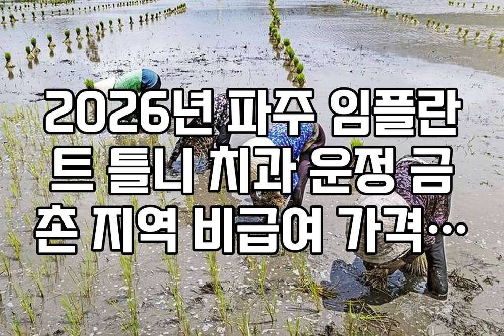 2026년 파주 임플란트 틀니 치과 운정 금촌 지역 비급여 가격 비교표