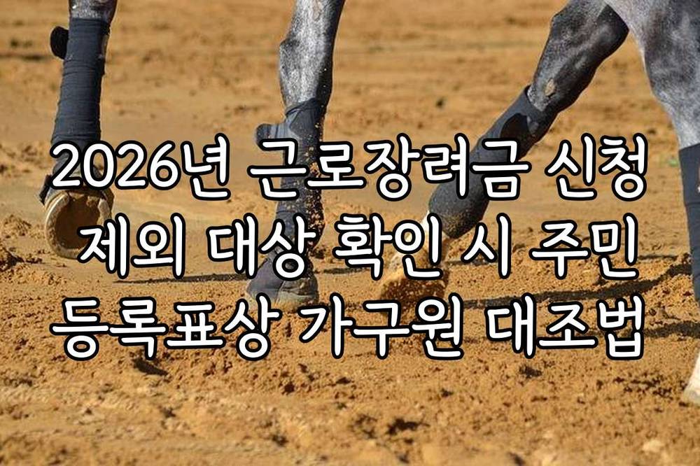 2026년 근로장려금 신청 제외 대상 확인 시 주민등록표상 가구원 대조법