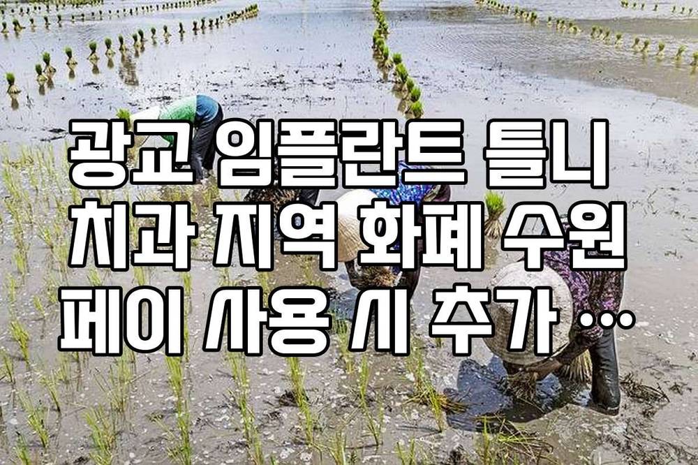 광교 임플란트 틀니 치과 지역 화폐 수원페이 사용 시 추가 할인 혜택