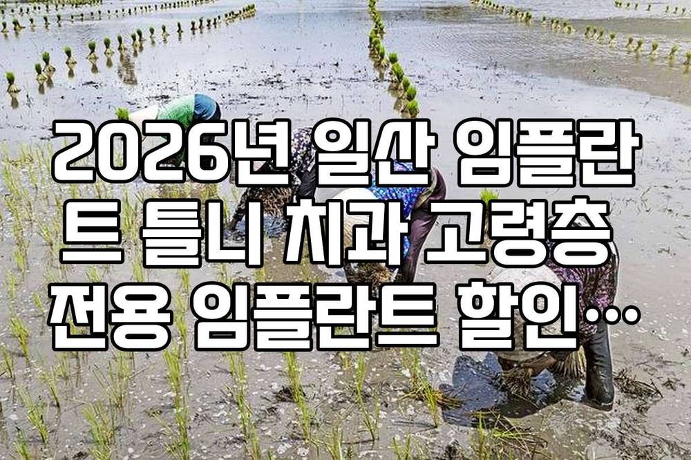 2026년 일산 임플란트 틀니 치과 고령층 전용 임플란트 할인 이벤트 정보