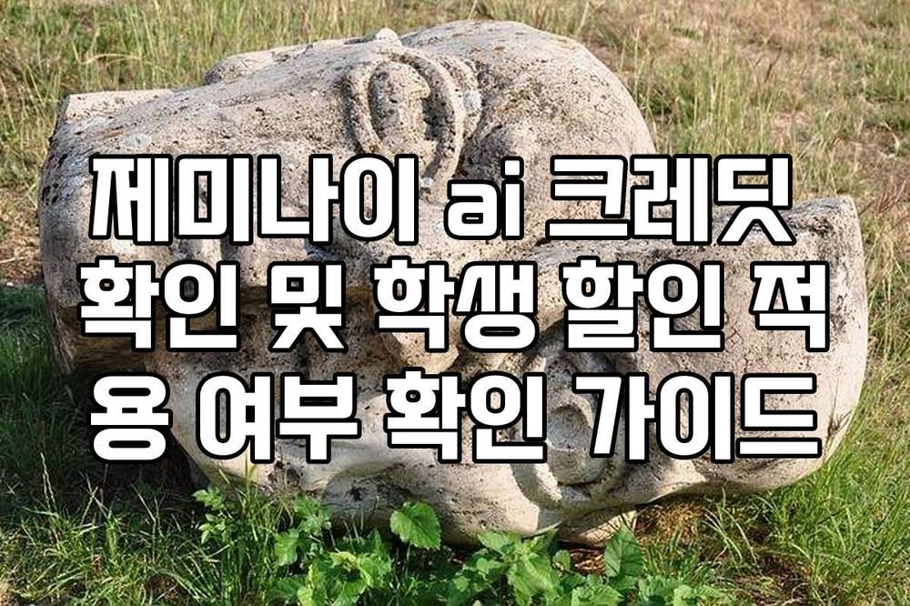 제미나이 ai 크레딧 확인 및 학생 할인 적용 여부 확인 가이드