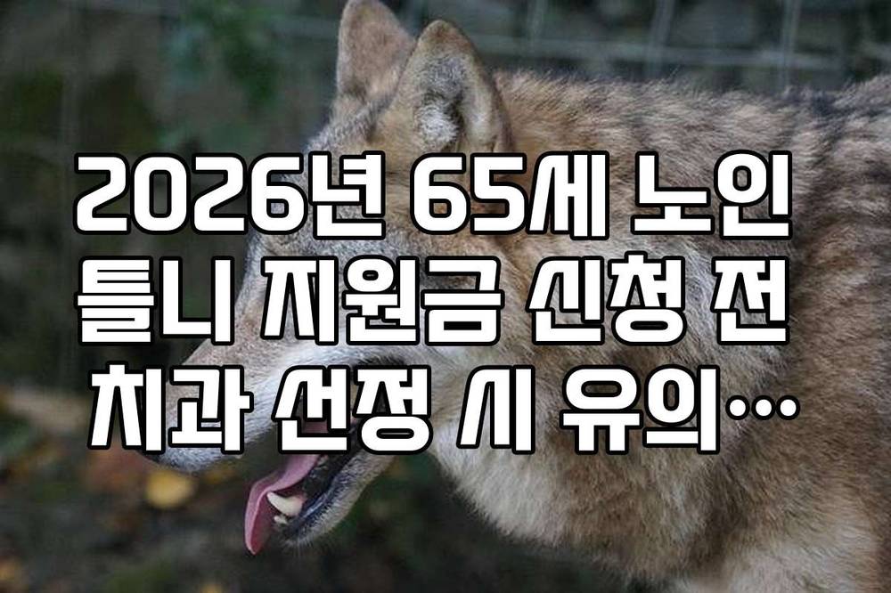 2026년 65세 노인 틀니 지원금 신청 전 치과 선정 시 유의사항 3가지