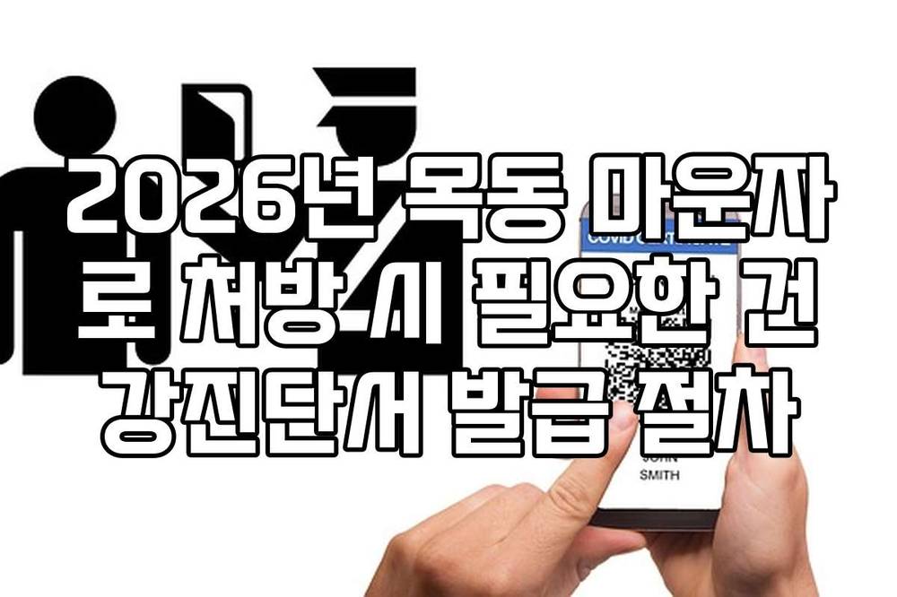 2026년 목동 마운자로 처방 시 필요한 건강진단서 발급 절차