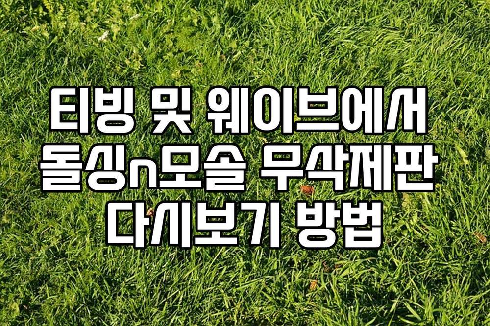 티빙 및 웨이브에서 돌싱n모솔 무삭제판 다시보기 방법