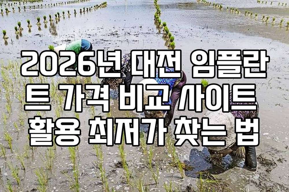 2026년 대전 임플란트 가격 비교 사이트 활용 최저가 찾는 법