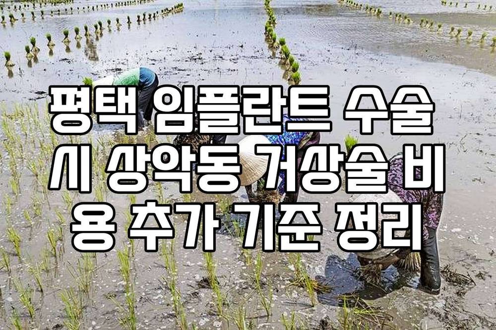 평택 임플란트 수술 시 상악동 거상술 비용 추가 기준 정리