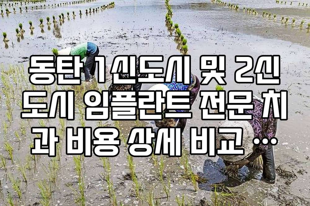 동탄 1신도시 및 2신도시 임플란트 전문 치과 비용 상세 비교 가이드
