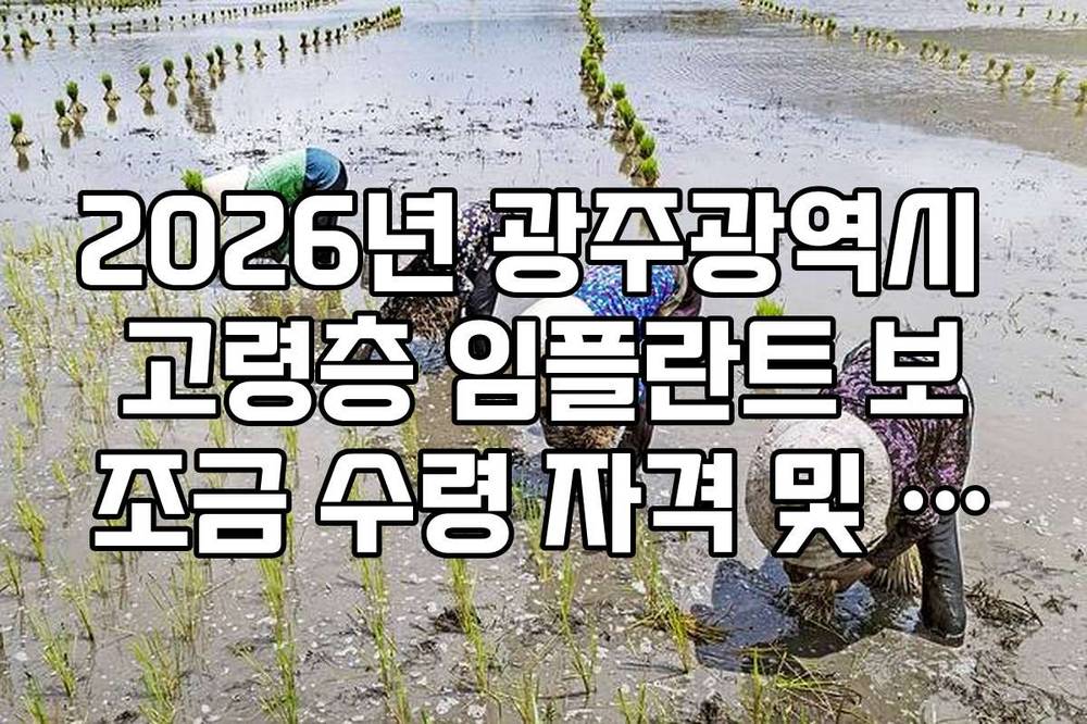2026년 광주광역시 고령층 임플란트 보조금 수령 자격 및 절차
