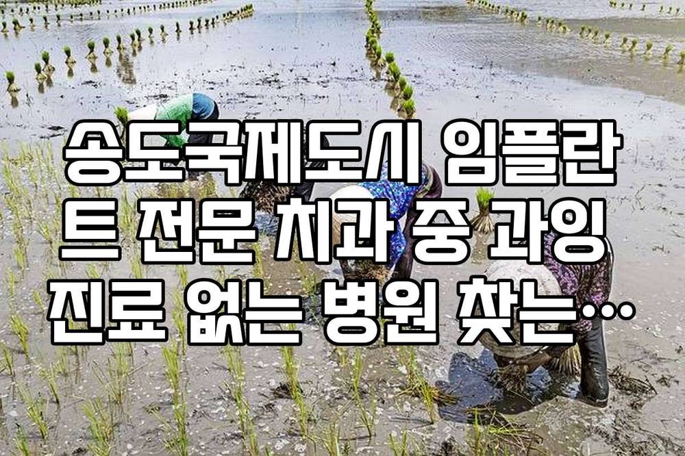 송도국제도시 임플란트 전문 치과 중 과잉 진료 없는 병원 찾는 법