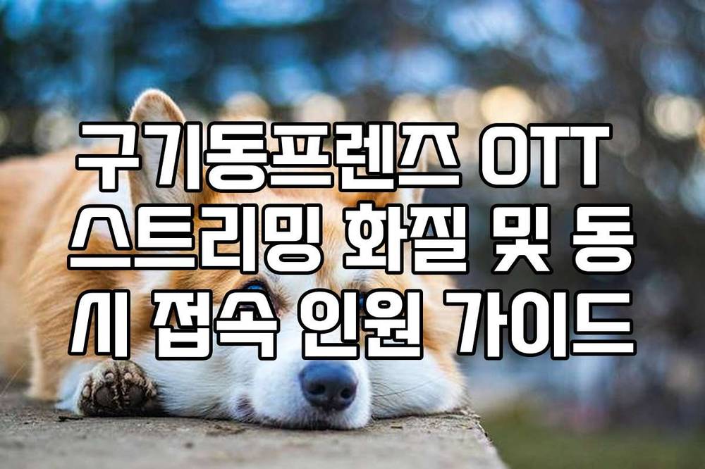 구기동프렌즈 OTT 스트리밍 화질 및 동시 접속 인원 가이드