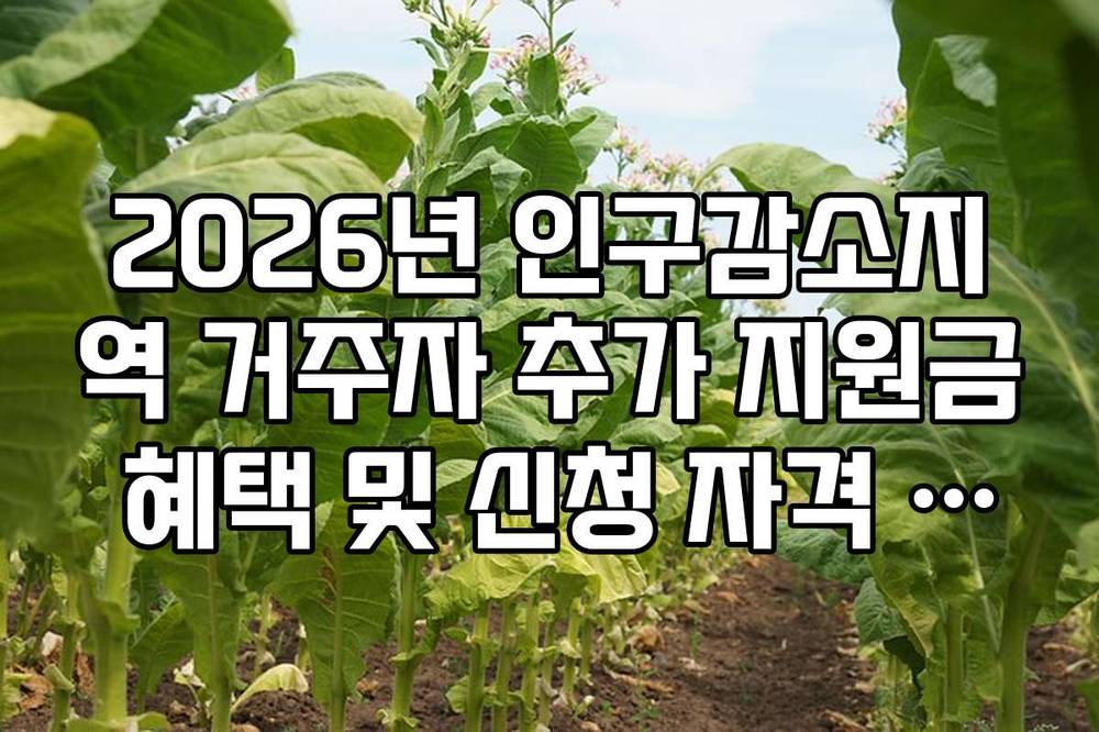 2026년 인구감소지역 거주자 추가 지원금 혜택 및 신청 자격 총정리