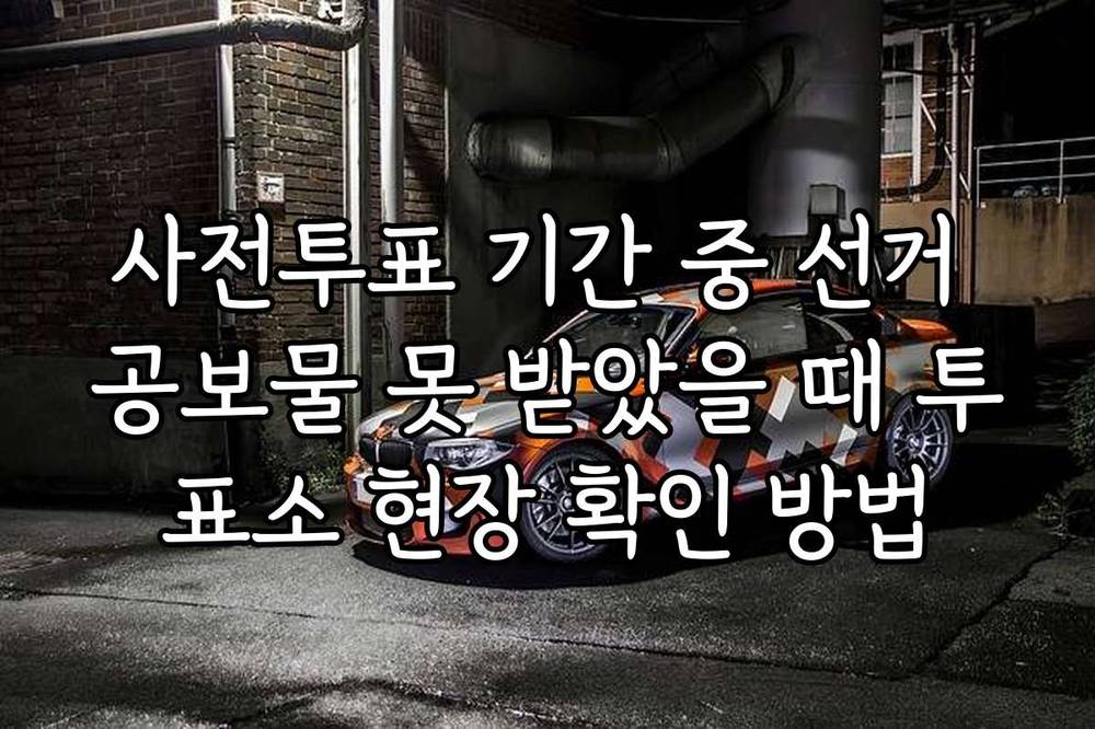 사전투표 기간 중 선거 공보물 못 받았을 때 투표소 현장 확인 방법
