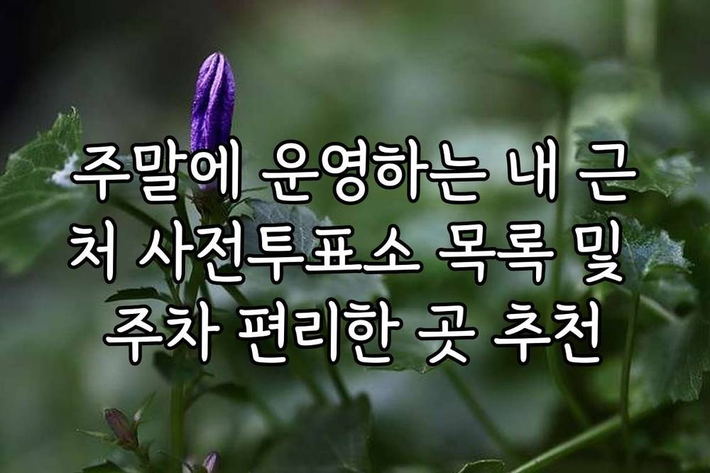 주말에 운영하는 내 근처 사전투표소 목록 및 주차 편리한 곳 추천