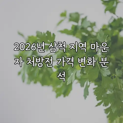 2026년 삼척 지역 마운자 처방전 가격 변화 분석