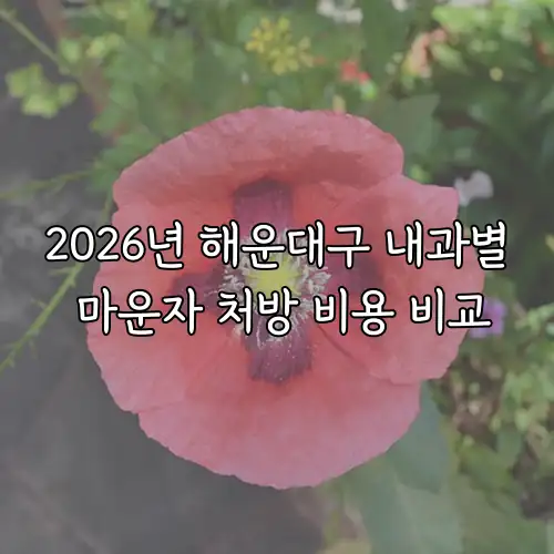 2026년 해운대구 내과별 마운자 처방 비용 비교