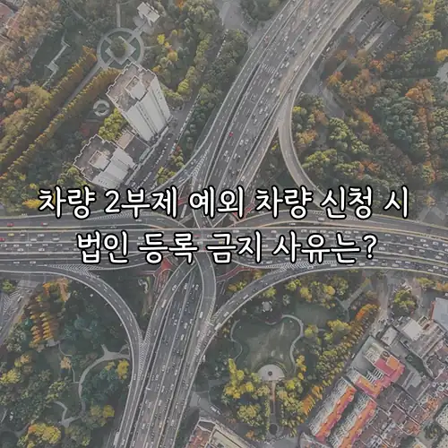 차량 2부제 예외 차량 신청 시 법인 등록 금지 사유는?