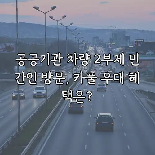 공공기관 차량 2부제 민간인 방문, 카풀 우대 혜택은?