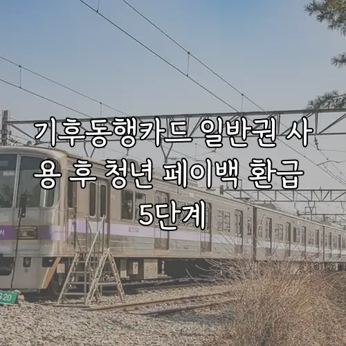 기후동행카드 일반권 사용 후 청년 페이백 환급 5단계