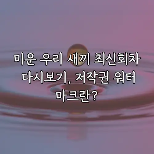 미운 우리 새끼 최신회차 다시보기, 저작권 워터마크란?