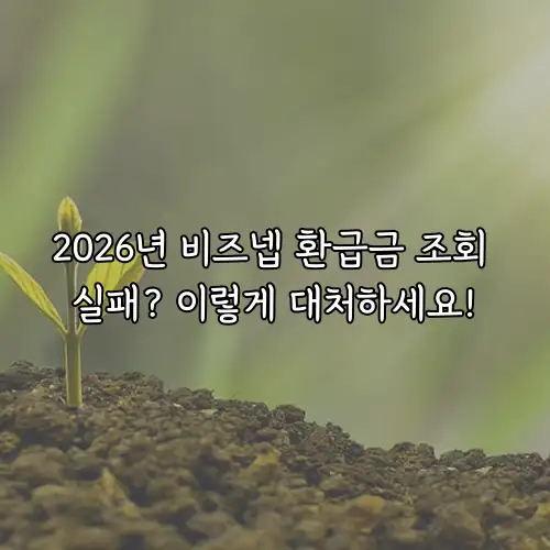 2026년 비즈넵 환급금 조회 실패? 이렇게 대처하세요!