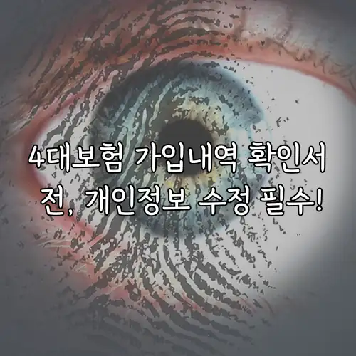 4대보험 가입내역 확인서 전, 개인정보 수정 필수!