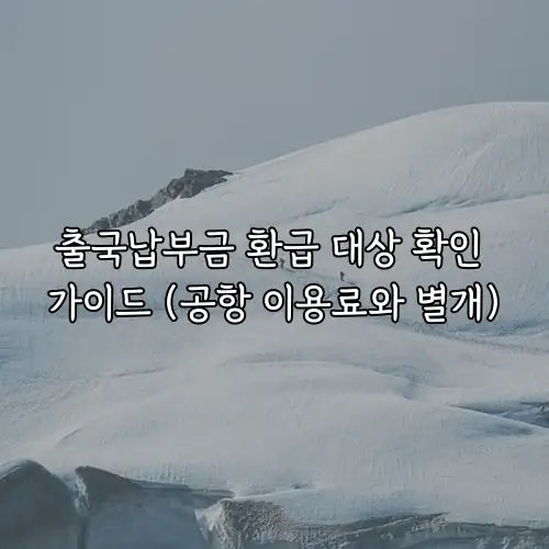 출국납부금 환급 대상 확인 가이드 (공항 이용료와 별개)