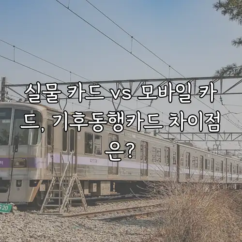 실물 카드 vs 모바일 카드, 기후동행카드 차이점은?