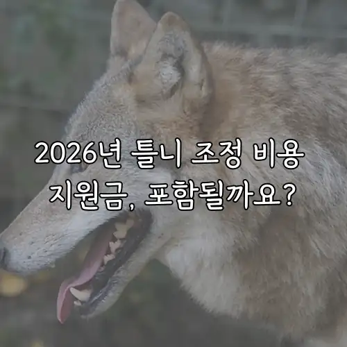 2026년 틀니 조정 비용 지원금, 포함될까요?