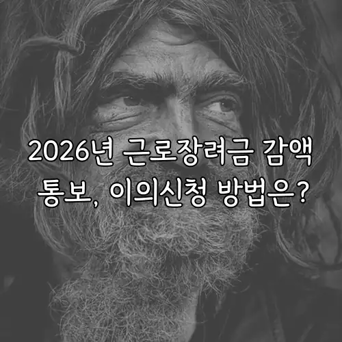 2026년 근로장려금 감액 통보, 이의신청 방법은?