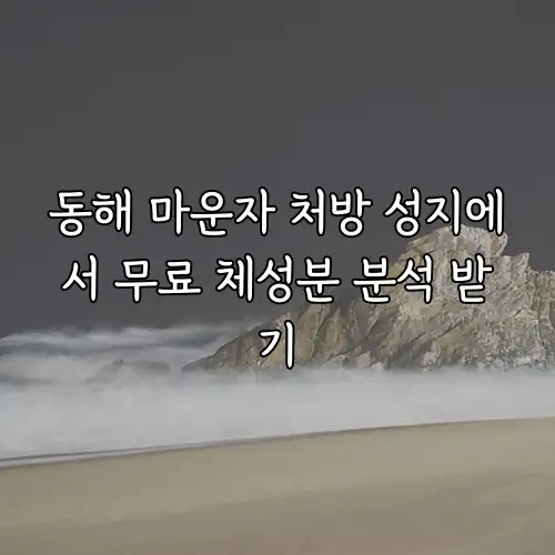 동해 마운자 처방 성지에서 무료 체성분 분석 받기