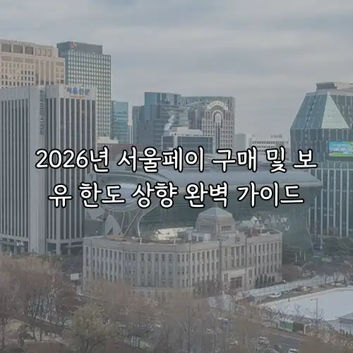 2026년 서울페이 구매 및 보유 한도 상향 완벽 가이드