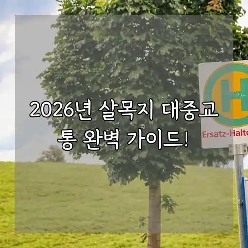 2026년 살목지 대중교통 완벽 가이드!