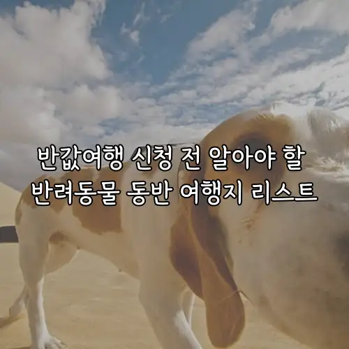 반값여행 신청 전 알아야 할 반려동물 동반 여행지 리스트