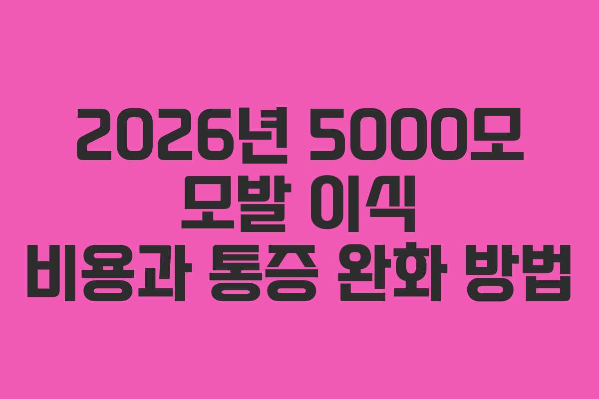 2026년 5000모 모발 이식 비용과 통증 완화 방법
