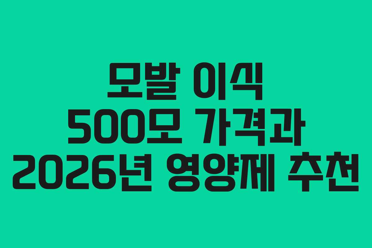 모발 이식 500모 가격과 2026년 영양제 추천